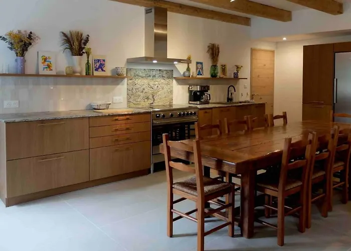 Belle Maison Au Pied Du Puy Mary Le Falgoux