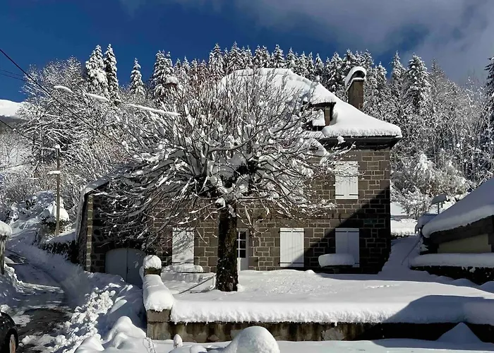Ferienhaus Belle Maison Au Pied Du Puy Mary Le Falgoux