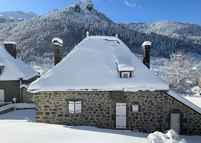 Belle Maison Au Pied Du Puy Mary * Le Falgoux
