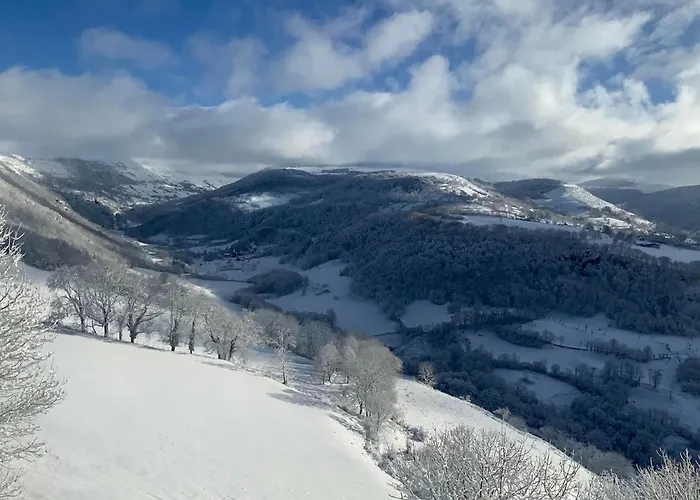 Ferienhaus Belle Maison Au Pied Du Puy Mary Le Falgoux